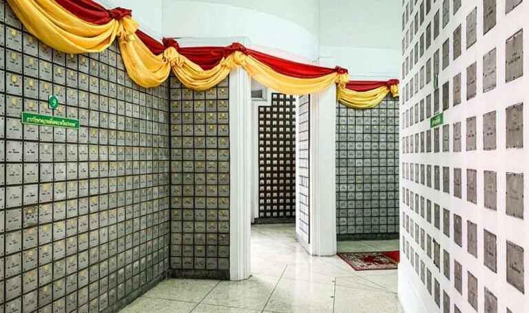 01 26 1024x605 1 768x454