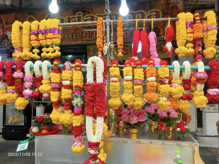 314499463 10225852847261981 1154559809781507821 n 768x576