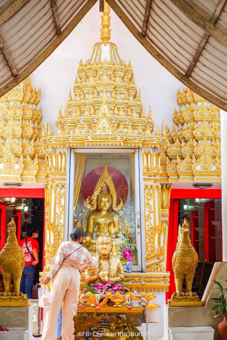 480302249 1187328516082090 3901288840197468149 n 768x1150