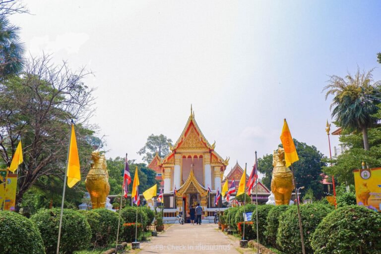 480322047 1187328756082066 8590183268918733190 n 768x513