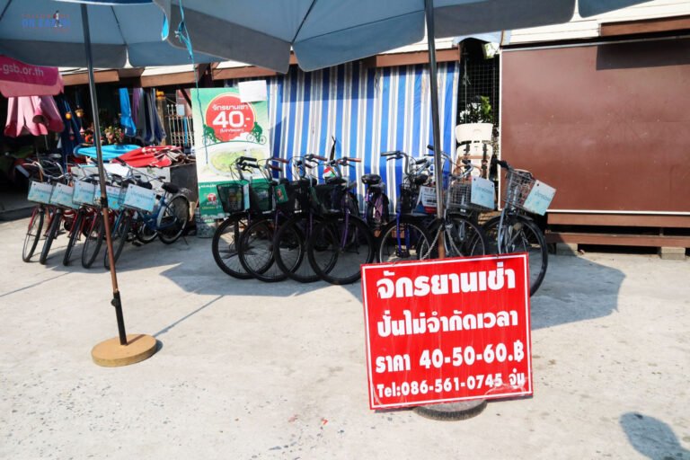 497811036 1244922140974477 8266684078450412254 n 768x512