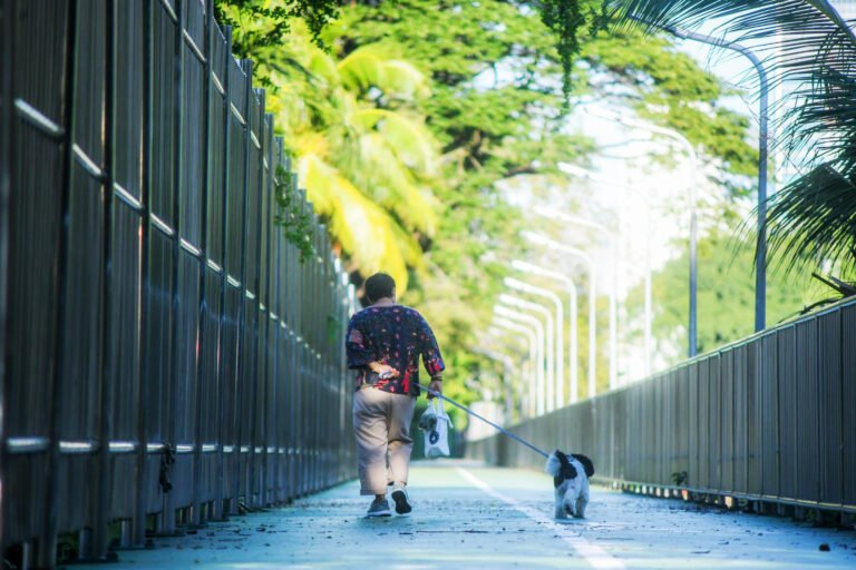 Benjakati Park 13 768x512