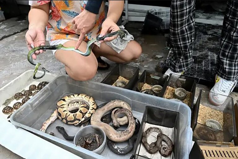 Chatuchak Market 03 768x512