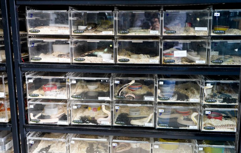 Chatuchak Market 11 768x488