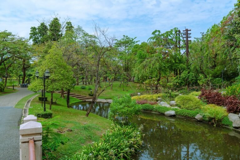 DSC02504 1500x1000 1 768x512