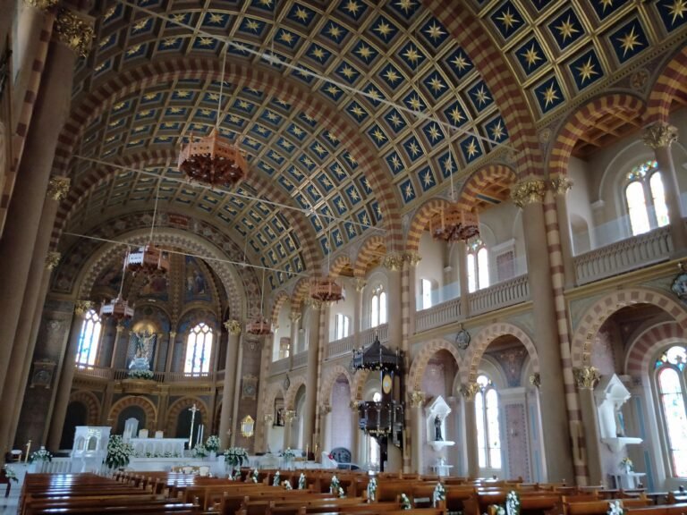 IMG20190202085822 768x576