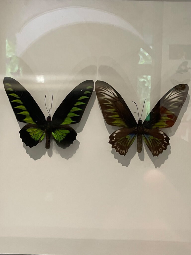 Photo Sep 28 2025 9 35 38 AM 768x1024