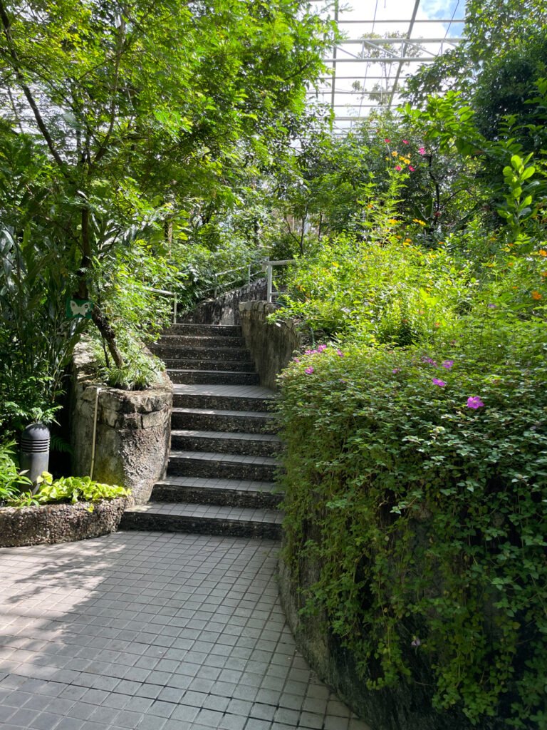 Photo Sep 28 2025 9 36 42 AM 768x1024