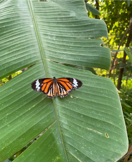 Screenshot 2025 11 02 at 1.46.33 PM