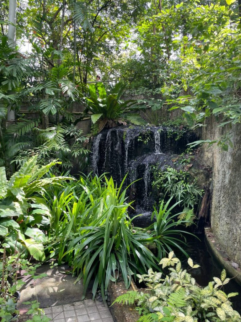 Screenshot 2025 11 02 at 5.13.07 PM 768x1025