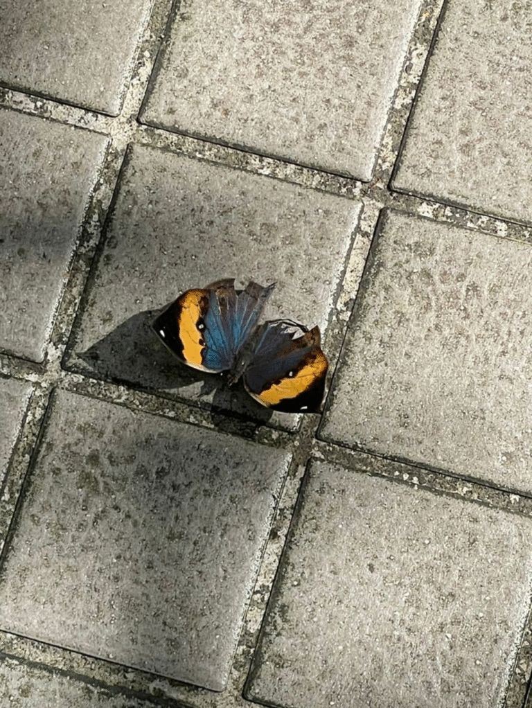 Screenshot 2025 11 02 at 5.13.25 PM 768x1022