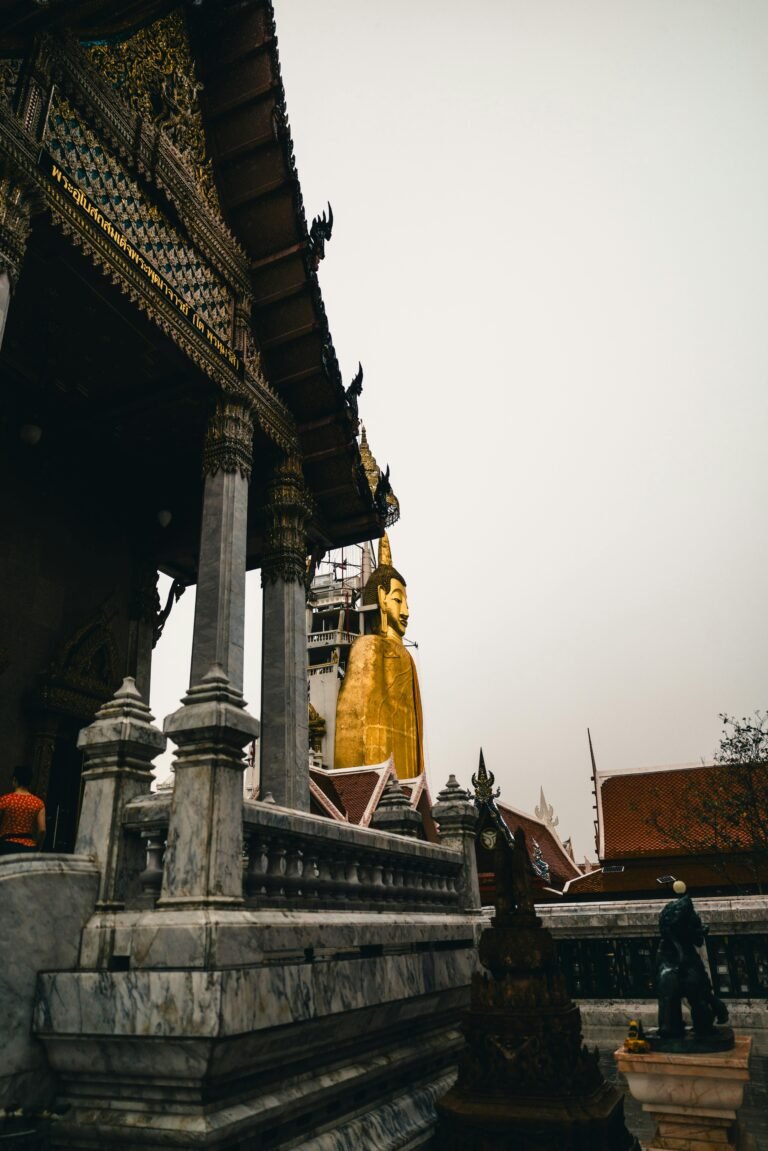 pexels lureofadventure 31026283 768x1151