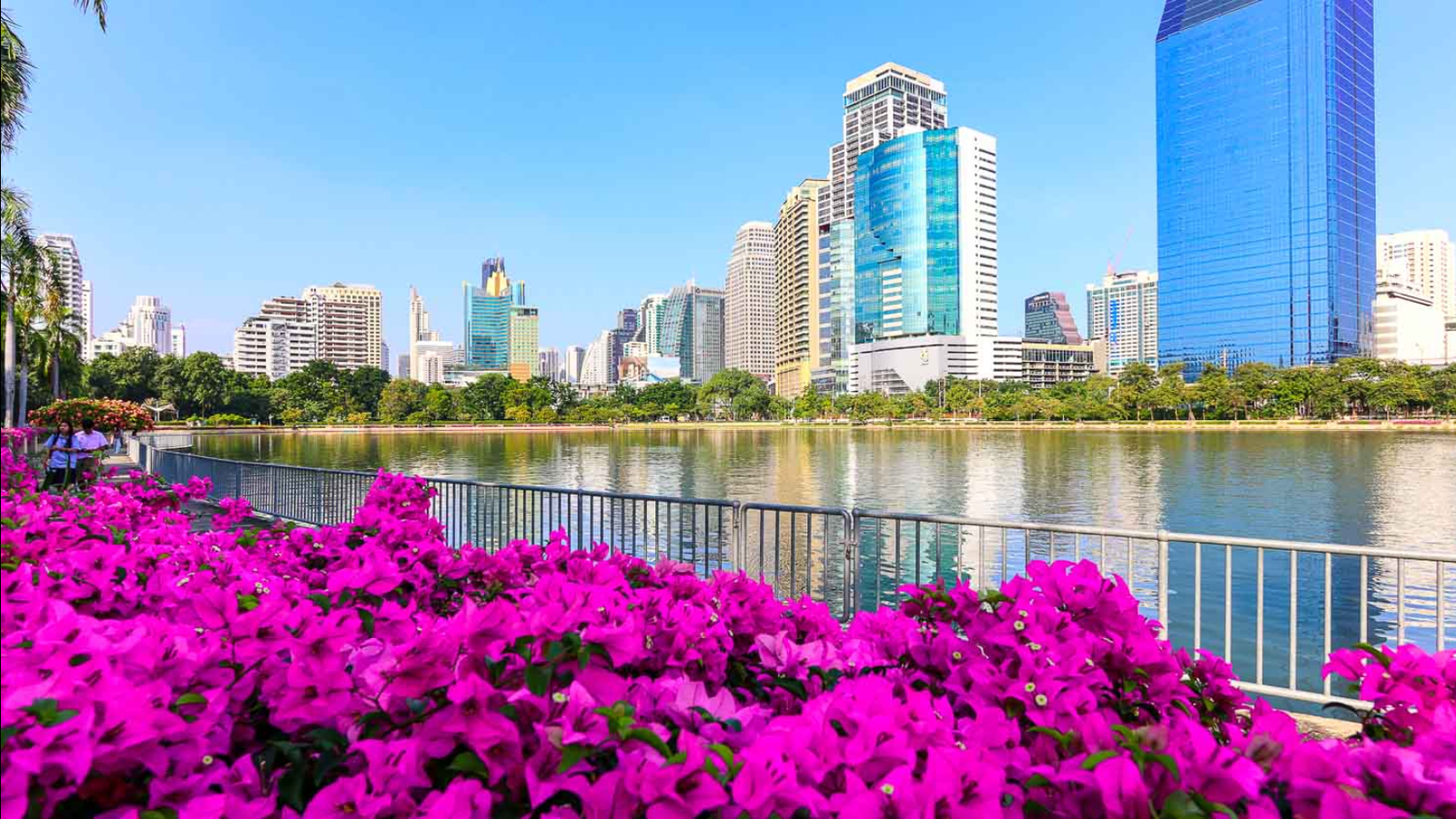 Flower garden in Queen Sirikit Park