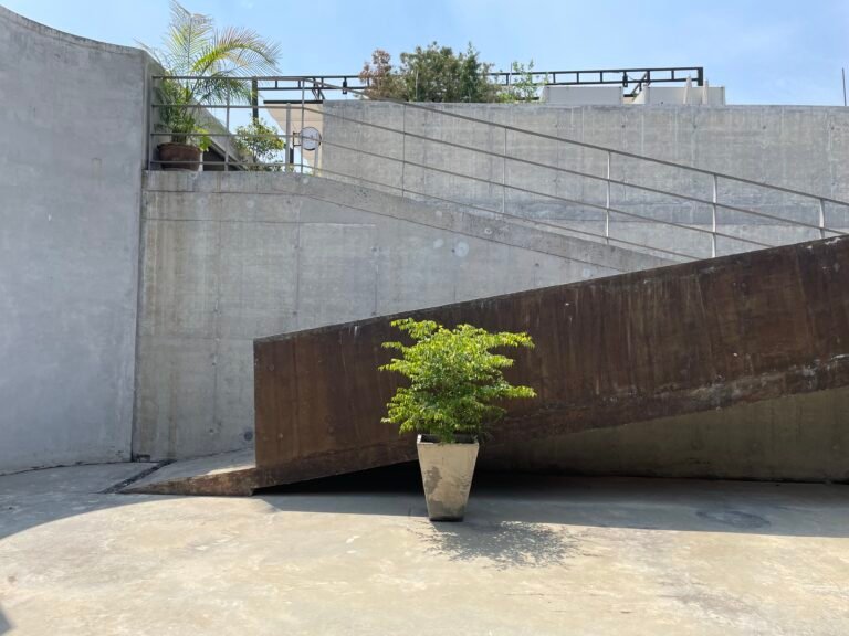 Photo Mar 21 2026 1 39 27 PM 768x576